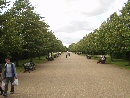 The Avenue - Regent's Park