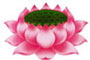 Symbol of a Lotus